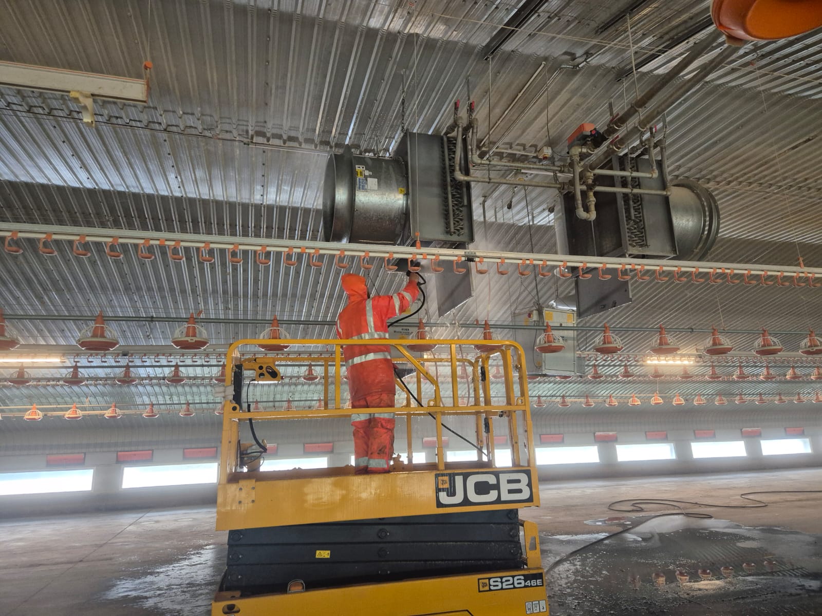 Operative on a JCB scissor lift washing the ceiling of a poultry shed