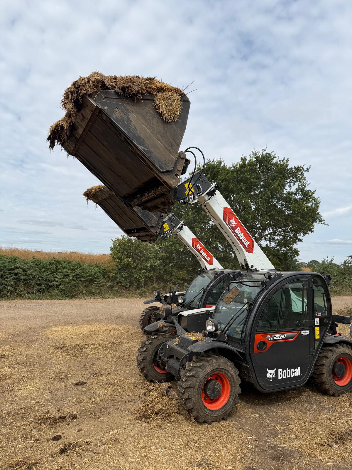 Bobcat telehandler tipping a bucket of poultry litter at height